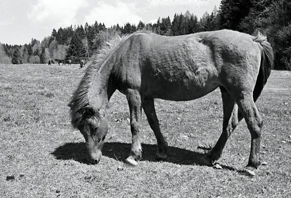 2003-05-109-0303-03a
