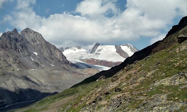 1991-08-013-2317-08