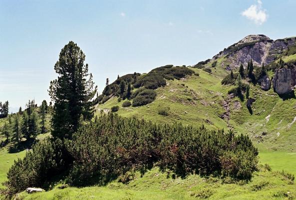 2010-07-165-7182-23