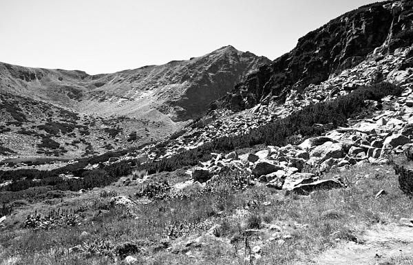 2021-08-08-114759bw