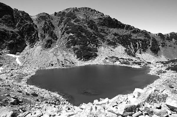 2021-08-08-141310bw
