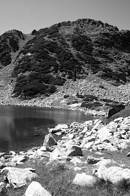 2021-08-08-142958bw