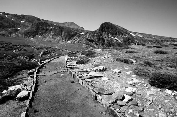 2021-08-09-114535bw