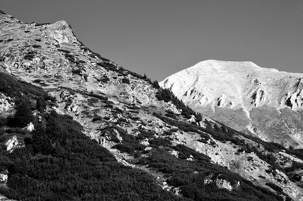 2021-08-12-083537bw