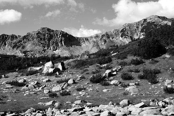 2021-08-12-100255bw