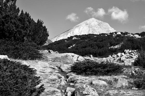 2021-08-12-103423bw