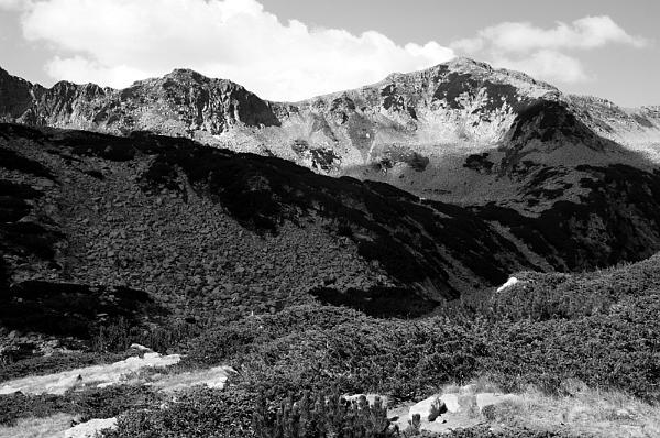 2021-08-12-103444bw