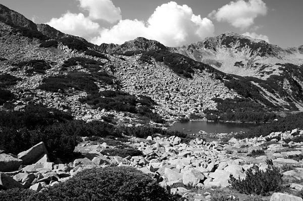 2021-08-12-104206bw