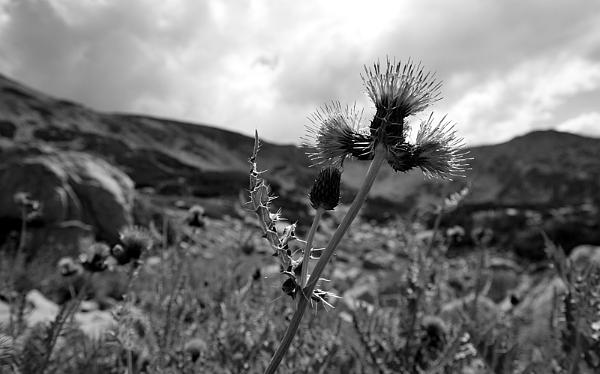 2021-08-12-115103bw