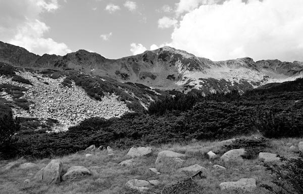 2021-08-12-120539bw