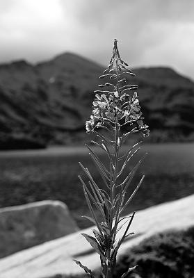 2021-08-13-120851bw