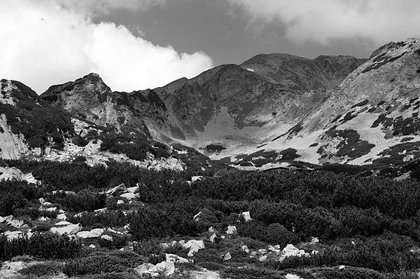 2021-08-13-120933bw