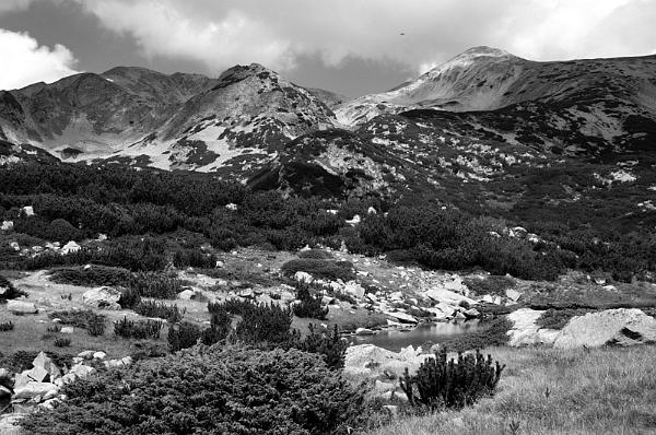 2021-08-13-121013bw