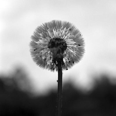 2000-05-063-1087-03