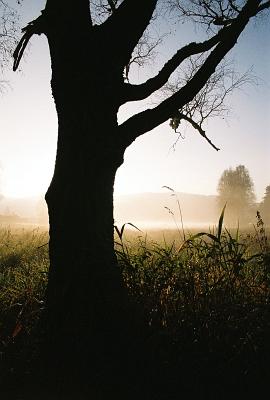 2012-10-193-0241-07