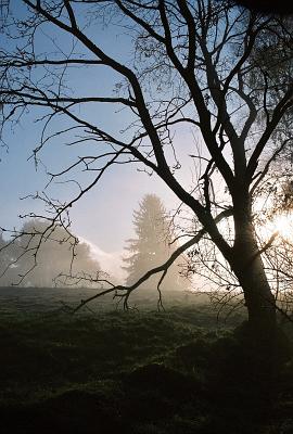 2012-10-193-0241-29