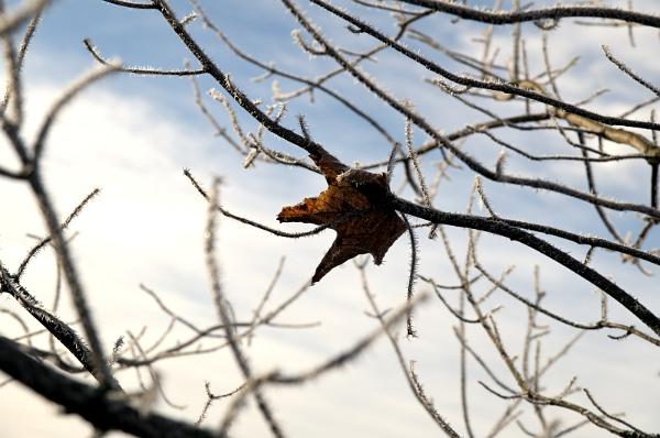 2016-02-07-092127