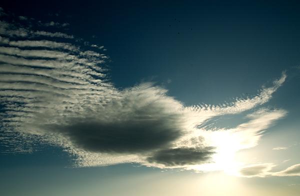 2019-10-13-084736