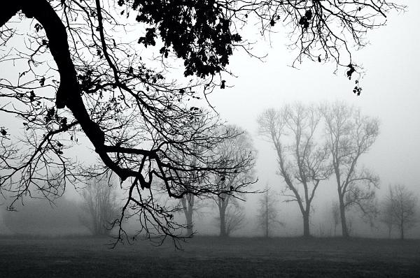 2019-11-24-071840bw