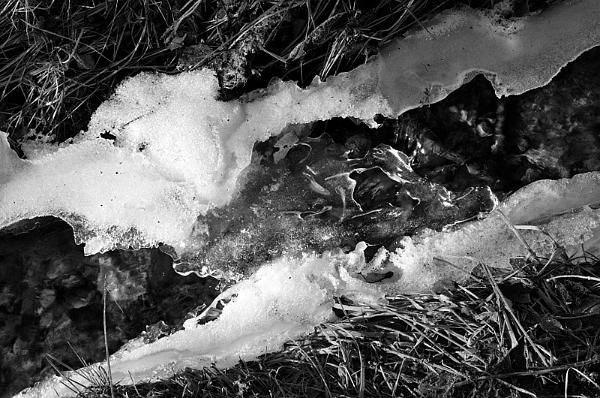 2021-02-21-083216bw