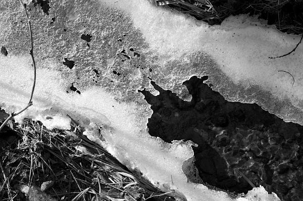 2021-02-21-083245bw