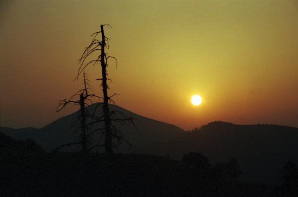 2000-08-071-3504-11a