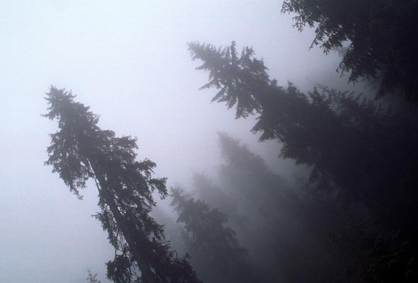 2007-07-154-9862-27a