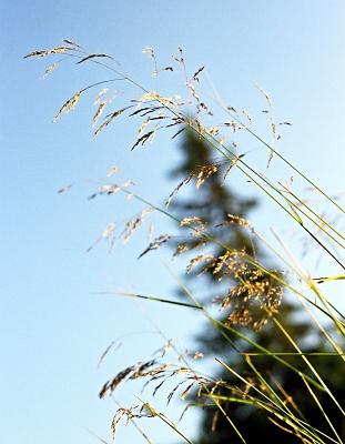 2008-08-157-3429-21